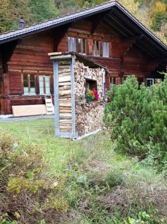 Meiringen Apartment | Gemütliche FeWo mit Sauna inmitten der Berge