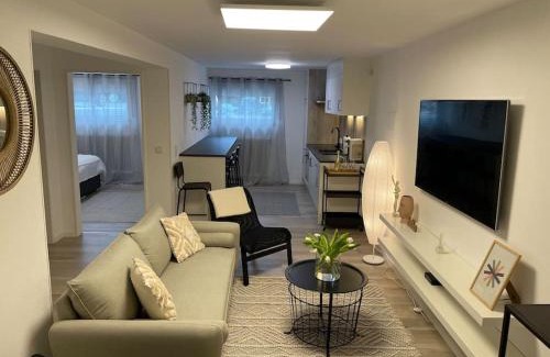 Bollendorf Apartment | Gemütliche&Moderne Ferienwohnung Nähe Trier & Luxemburg