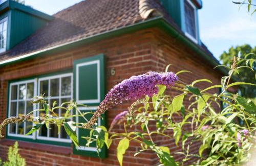 Harmsdorf House | Gemütliches Landhaus in Harmsdorf