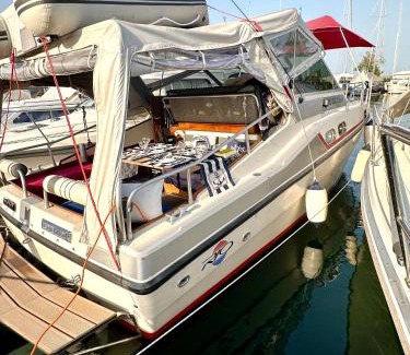 Romanshorn Boat Rental | Gemütliches Motorboot im Yachthafen von Romanshorn