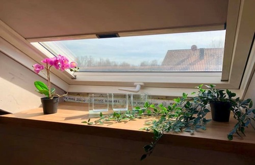 Buchloe Apartment | Gene review Buchloe