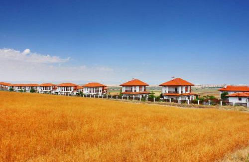 Aheloy Villa | Generaator House