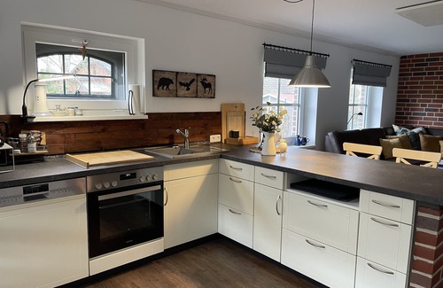 Neuendorf b. Elmshorn House | generous cozy guest apartment DeichSch (l) af with 2 terraces