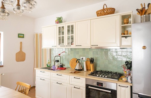 Viseu de Sus House | Generous family home