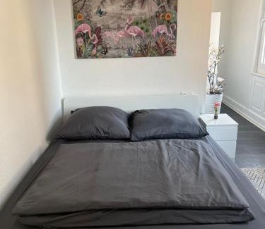 Gablenberg Apartment | Genesis Apartments
