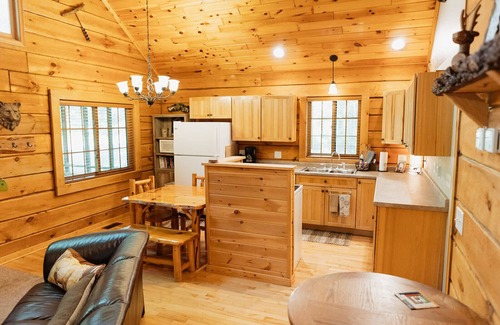 Siren Cabin | Genuine Log Cabin with large yard in a small quaint town across from Fish Lake