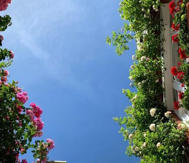 Parsons Green and Walham Bed & Breakfast | Georgiana's Guesthouse