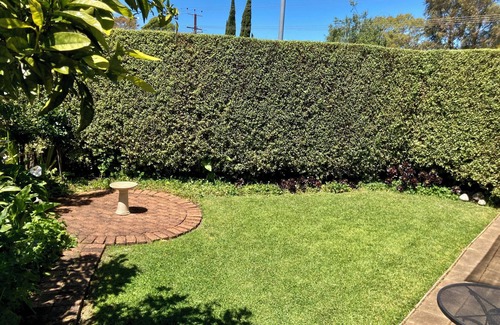 Penola Cottage | Georgie's Cottage - Historic Penola