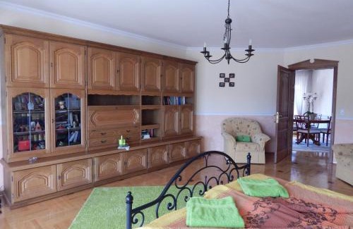 Harkany Apartment | Georgina Apartman