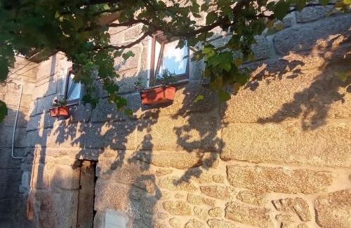 Cabril House | Gerês e Cabreira - Romoa Vintage Guest House