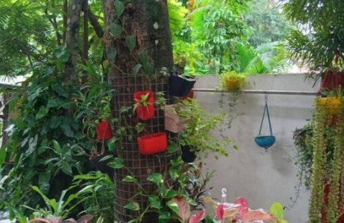 Fort Kochi Apartment | Gerards Home stay Fortkochi Budget Double Room