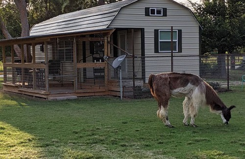 Cypress Cottage | Gerrie's Place2-PRIVATE-Cottage-Rescue Llama Ranch