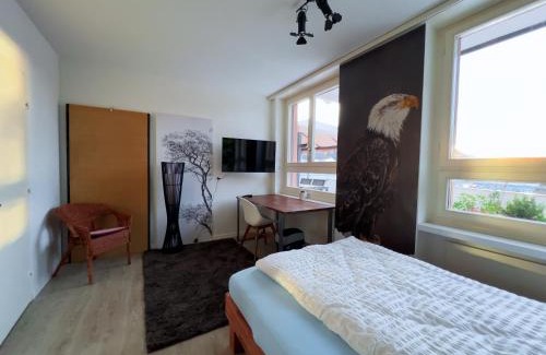 Emmen House | Gery's Camp