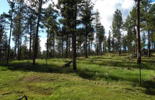 Custer Cabin | Get away from it all in this studio cabin!