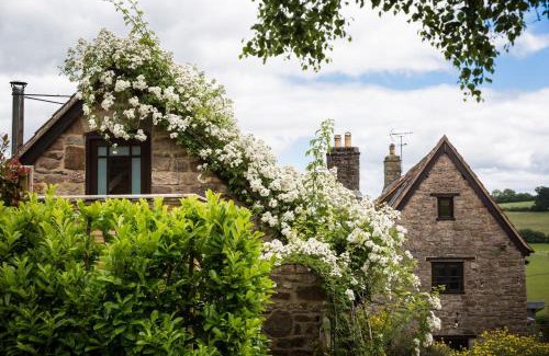 Cinderford House | Get-Togethers with function room