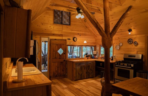 San Juan River Village Cabin | Getaway Cabin Ideally Located Between Wolf Creek and Pagosa Springs!