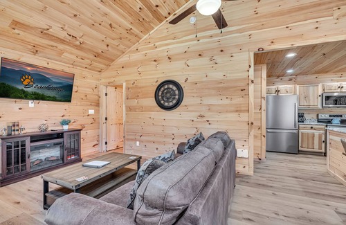 Cosby Cabin | Getaway Cottage, Pickleball Court, Creek, WIFI, Mountain Views, Starting at $75