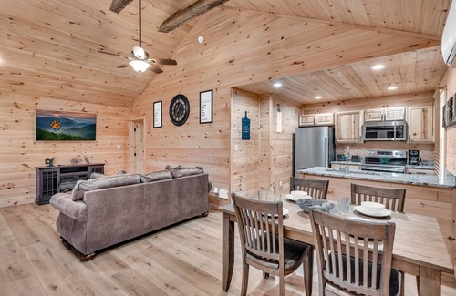 Cosby Cabin | Getaway Cottage, Pickleball Court, Creek, WIFI, Mountain Views, Starting at $75