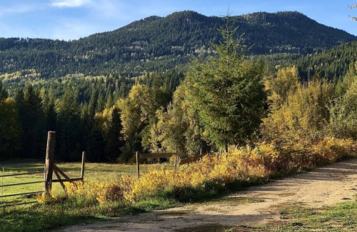 Barriere Cabin | Getaway log cabin on 160 acre Wilderness Ranch
