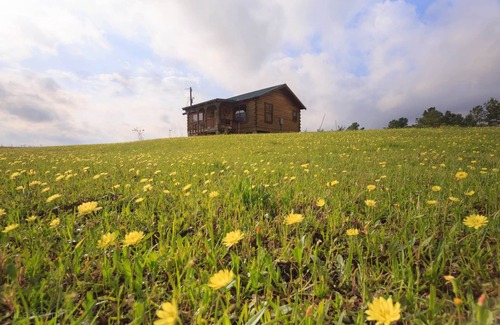 Huntsville Cabin | GETAWAY LOG CABIN with 2-ACRE POND FOR REST AND RELAXATION