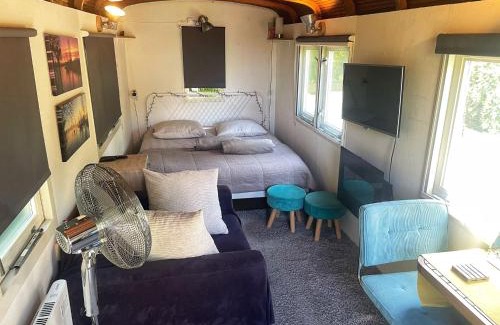 Medemblik House | Gezellige Pipo met grote schommel aan het water