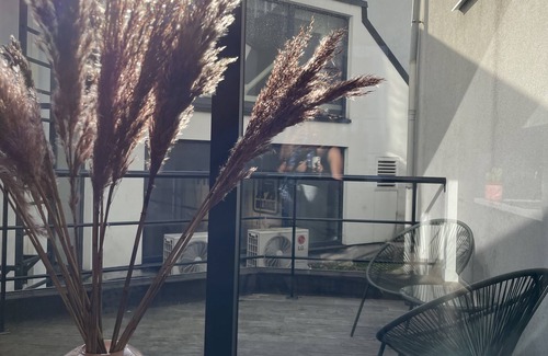 Schipperskwartier Apartment | Gezellige Studio met Terras in Hartje van Antwerpen