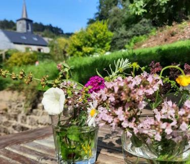 Doische House | Gezellige villa met open haard en zonnige tuin.