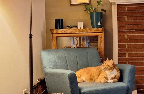 Winston - Salem House | Gggggg gggg