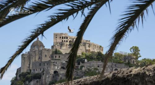 Ischia Porto Hotel | Giardino Eden Resort