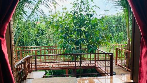 Quan Tom House | Gibbon Singing Home Stay