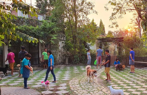 Nakhon Nayok Hotel | Ginger Bread House - Pet Lover Resort
