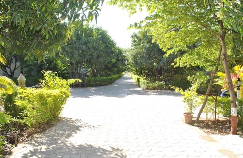 Talala Cabin | Gir Jungle Lodge
