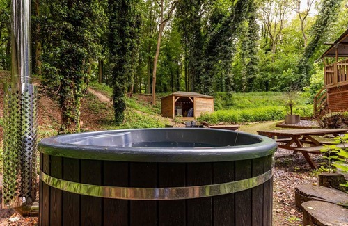 Thetford Cabin | Giraffe Enclosure - Norfolk Holiday Properties