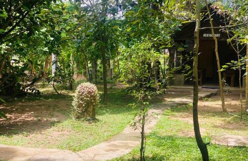 Dambulla Resort | girilena resort