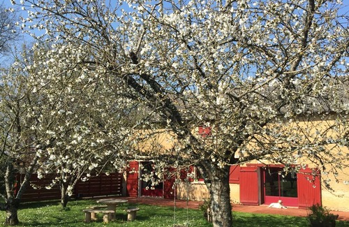 Thurageau House | Gîte 20 minutes from the FUTUROSCOPE, with COVERED SWIMMING POOL, SPA and SAUNA