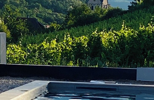 Itterswiller Apartment | GITE 3* ITTERSWILLER SUR LA ROUTE DES VINS D'ALSACE Swimming pool in 2026