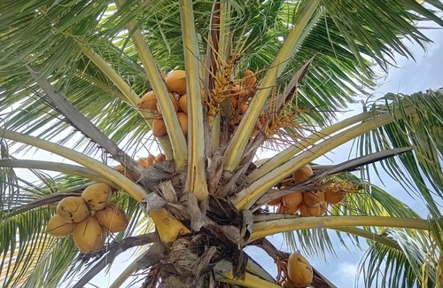 Saint-Francois Cottage | Gite 4-5 Personnes Proche Toutes Commodités