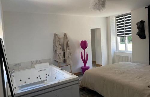 Lailly-en-Val Apartment | Gite balnéo