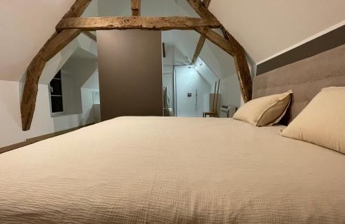 Lailly-en-Val Apartment | Gite balnéo
