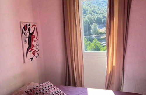 Santa-Lucia-di-Mercurio House | Gîte casa mea in the center of corsica.