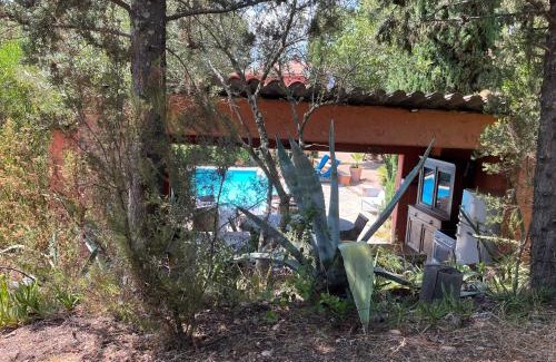 Peri House | Gite dans le maquis avec piscine privée