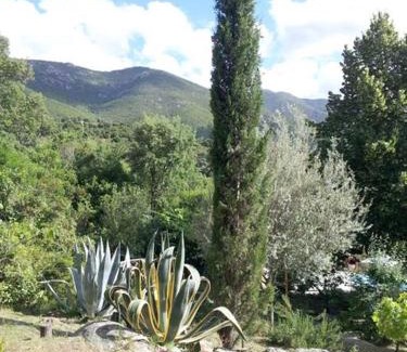 Peri House | Gite dans le maquis avec piscine privée