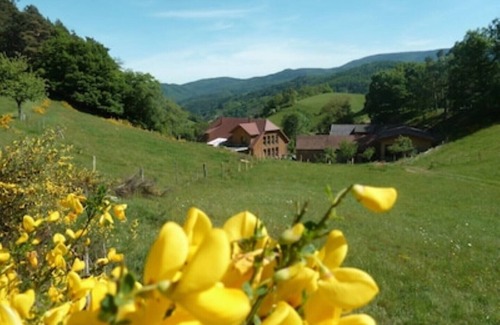 Rombach-le-Franc Other | Gite de Pierreusegoutte A et B