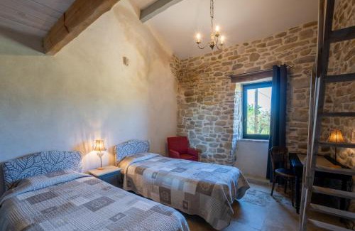 Saint-Sauveur-de-Cruzieres House | Gite Figuier et Vignes