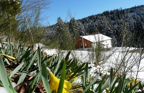 Liezey Apartment | Gite in a farm of the Vosges, entirely renovated