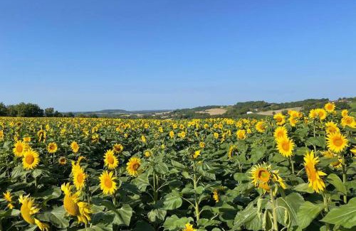 Saint-Martial-Viveyrol House | Gite Jeanroy a Cheerful 2 Bedroom Rural Gite