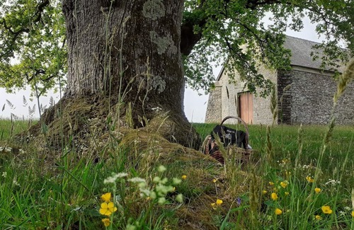 Neant-sur-Yvel House | Gite La Lisière, in Brocéliande