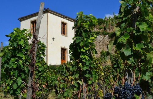 Tain-l'Hermitage House | Gîte La Tour du Pavillon in the heart of the Ermitage vineyards