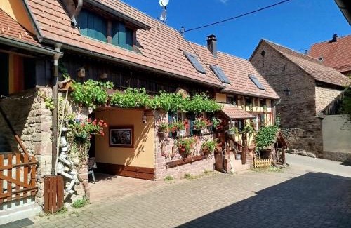 Rosenwiller House | Gite Le Petit Moulin