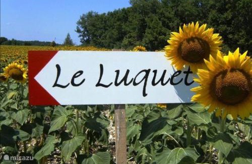 Saint-Beauzeil House | Gite Le pigonnier Ecogite Le Luquet Saint Beauzeil 82150